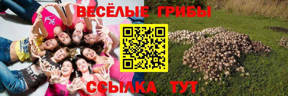Cocaine Кисловодск
