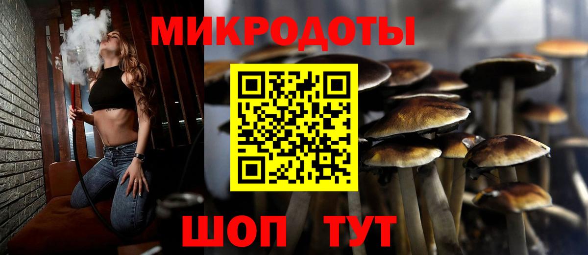 магазин продажи наркотиков  Псилоцибиновые грибы MAGIC MUSHROOMS  Вход с VPN  Кисловодск 